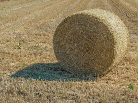 Bale of hay Stock Photos