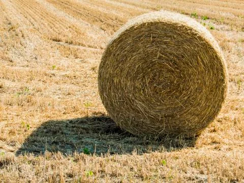 Bale of hay Stock Photos