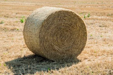Bale of hay Foto stock