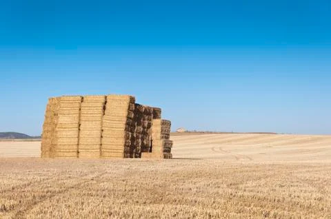 Bale of hay Stock Photos