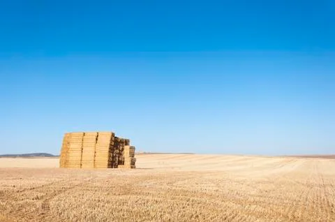 Bale of hay Stock Photos