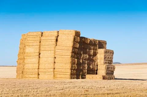 Bale of hay Stock Photos