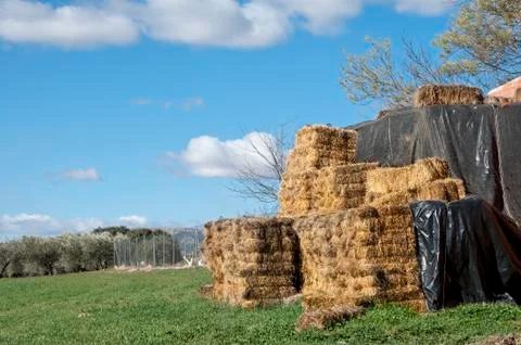 Bale of hay Stock Photos