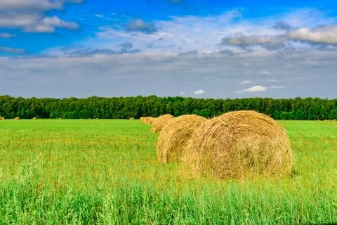 Bale of hay Foto stock