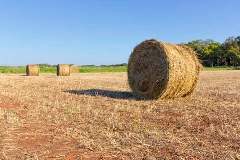 Bale of hay Stock Photos