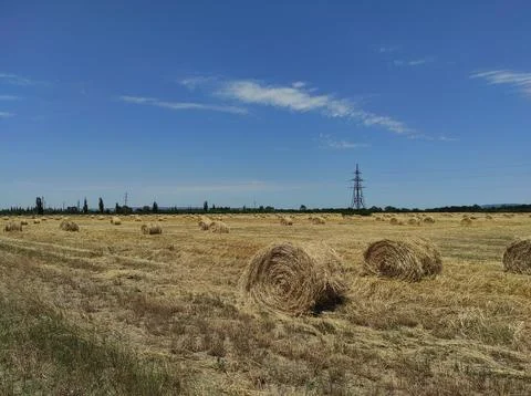 A bale of hay Stock Photos