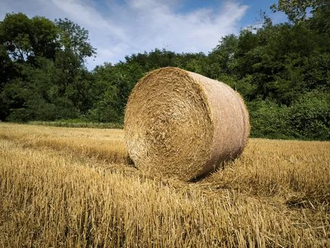 A bale of hay Stock Photos