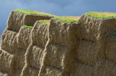 Bale of hay in a wall pattern. Stock Photos
