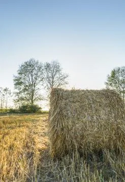 Bale Stock Photos