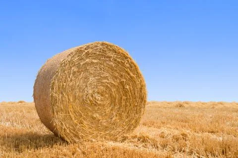 Bale pressed from straw Stock Photos