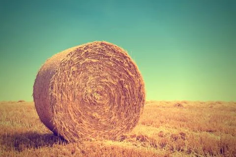 Bale pressed from straw Stock Photos
