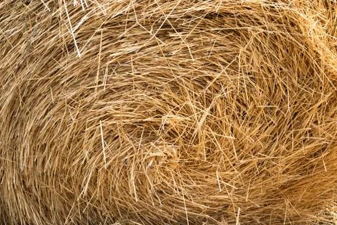 Bale of straw to feed cattle Stock Photos