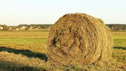 A bale of straw in the field, close-up Stock Footage 317012944
