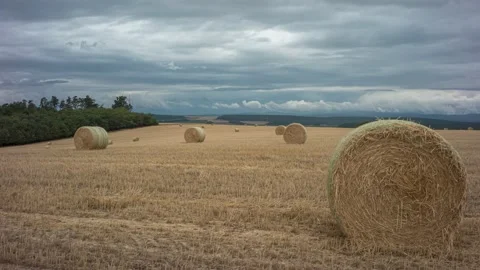 The bale of straw is on the field. Clouds run across the sky. Stockbeeldmateriaal 203687554