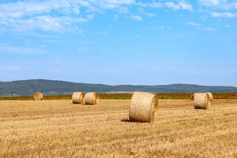 Bale of straw on field Stock Photos