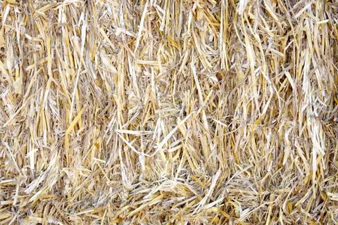 Bale of straw Stock Photos