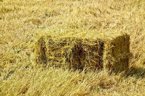 Bale of straw Stock Photos