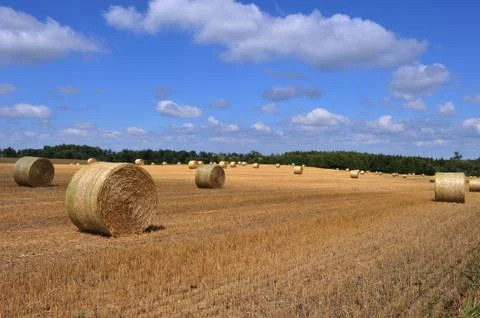 Bale of Straw Stock Photos