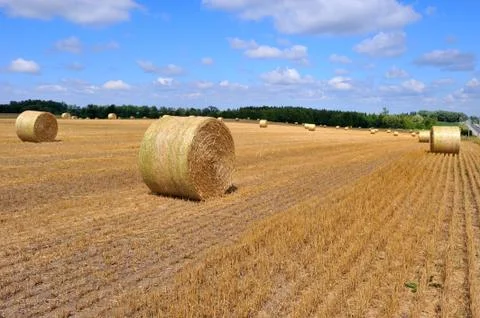 Bale of Straw Stock Photos