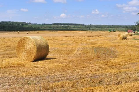 Bale of Straw Stock Photos