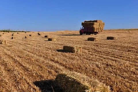 Bale of straw Stock Photos