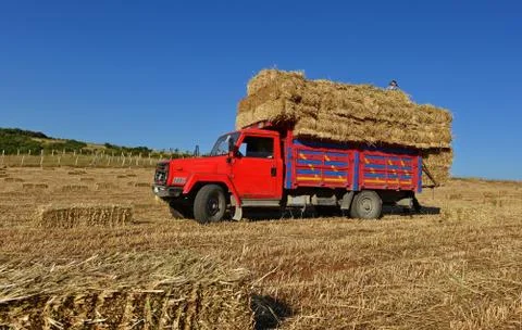 Bale of straw Stock Photos