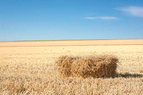 Bale of straw Stock Photos