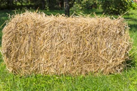The bale of straw Stock Photos