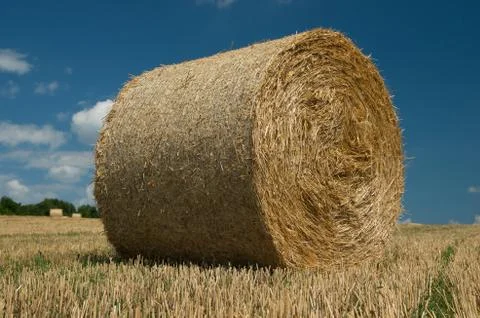 Bale of straw. Stock Photos