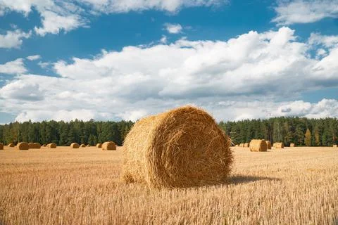 Bale of straw Stock Photos