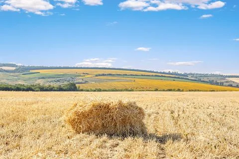 Bale of straw Stock Photos