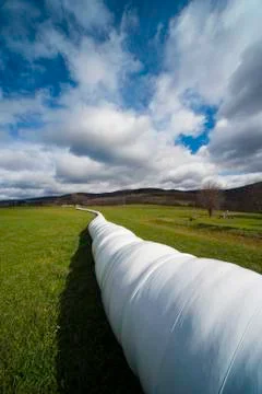 Bale tube in upstate new york Stock Photos