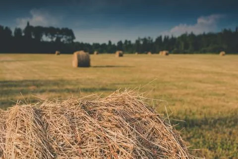 Baled Hay in Field Stock Photos