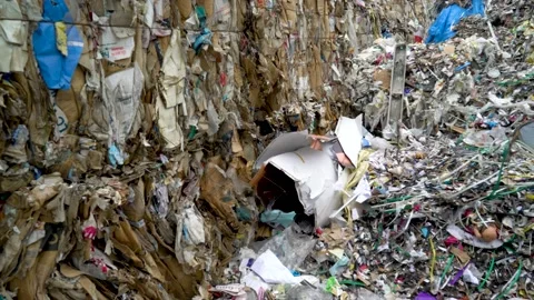 Baled Paper Trash For Recycling Stock Footage 147384653