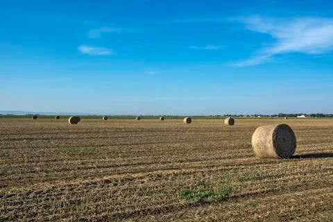 Baled straw coiled Stock Photos