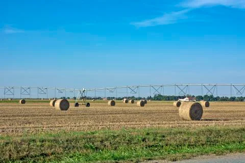 Baled straw coiled Stock Photos