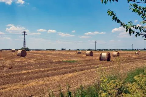 Baled straw in nylon Stock Photos