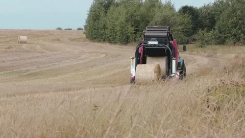 Baler unloads straw bales 스톡 동영상 150008103