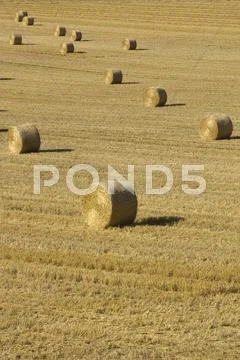 Bales in field Stock Photos