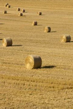 Bales in field Stock Photos