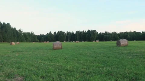 Bales of hay at the field, camera moves to the right Stock Footage 284440282