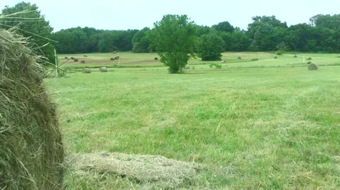 Bales of Hay in Field Stock Footage 50195908