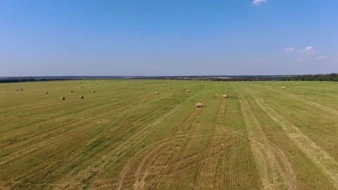 Bales of hay on the field Stock Footage 138173127