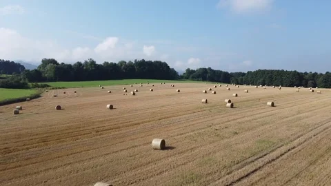 bales of hay in the field Stock Footage 249808043
