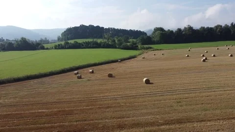  bales of hay in the field Stock Footage 249808046