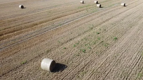  bales of hay in the field Video stock 249808047