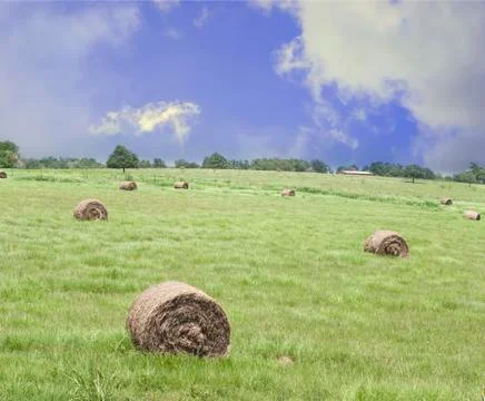 Bales of hay in a field Stock Photos