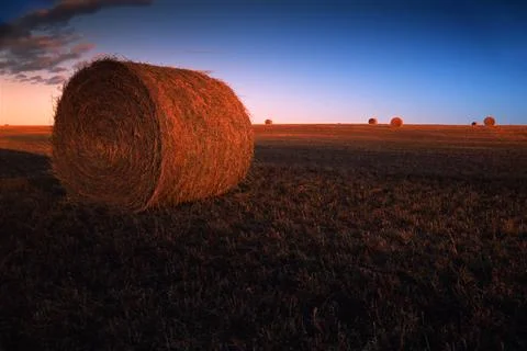 Bales Of Hay In Field Stock Photos