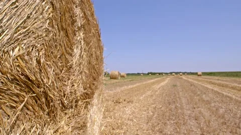 Bales of hay Stock Footage 171557205
