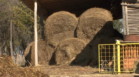 Bales of hay in an old barn Stock Footage 35703441